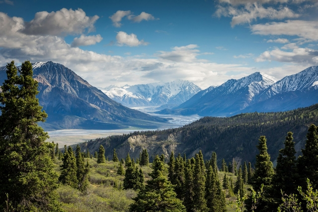 Oxygen Levels on America's Highest Peaks: Whitney, Rainier & 14ers | Oxymeter