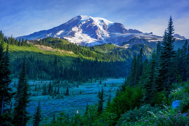 Monte Rainier